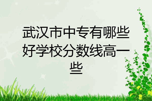 武汉市中专有哪些好学校分数线高一些