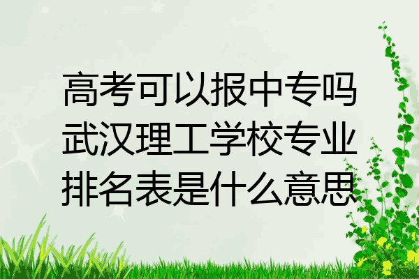 高考可以报中专吗武汉理工学校专业排名表是什么意思
