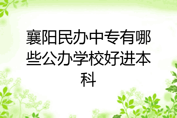 襄阳民办中专有哪些公办学校好进本科