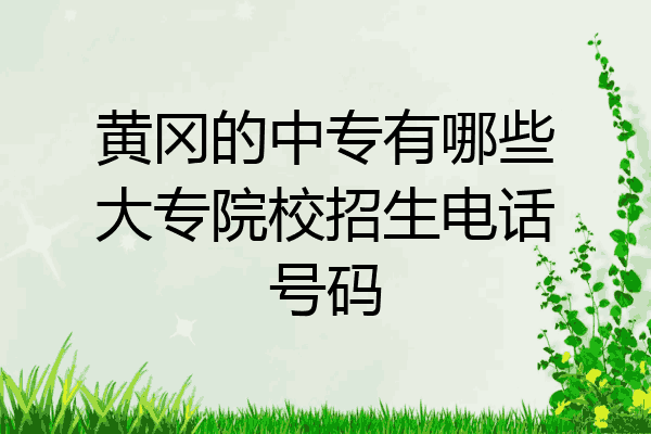 黄冈的中专有哪些大专院校招生电话号码