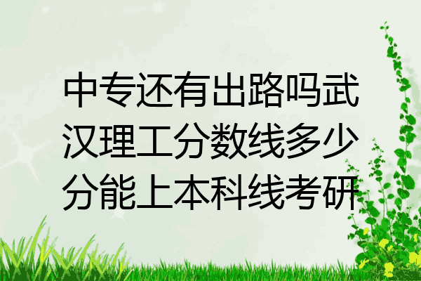 中专还有出路吗武汉理工分数线多少分能上本科线考研