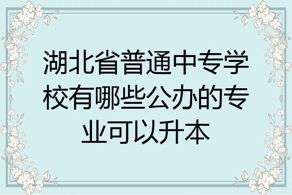 湖北省普通中专学校有哪些公办的专业可以升本