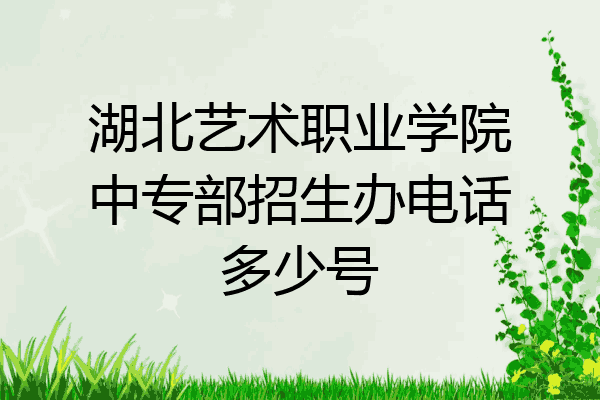 湖北艺术职业学院中专部招生办电话多少号