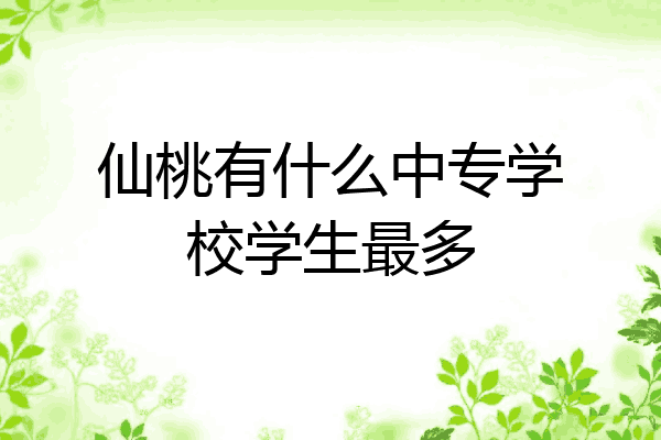 仙桃有什么中专学校学生最多