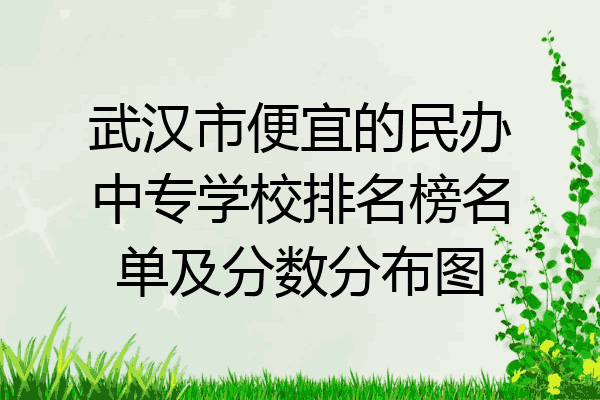 武汉市便宜的民办中专学校排名榜名单及分数分布图