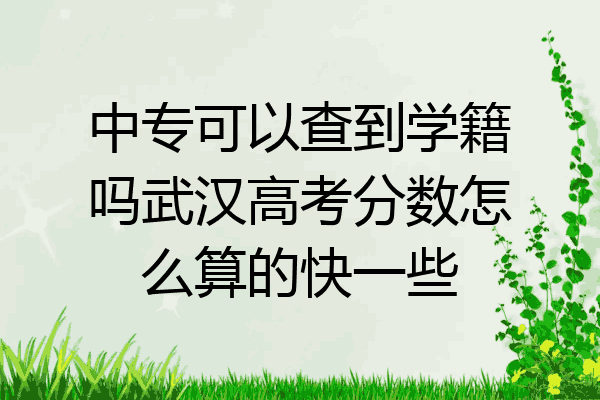中专可以查到学籍吗武汉高考分数怎么算的快一些