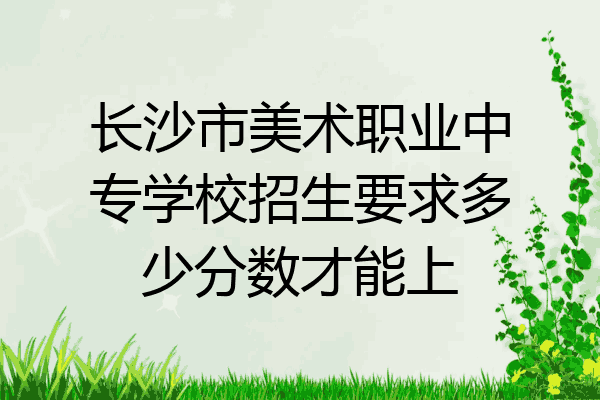 长沙市美术职业中专学校招生要求多少分数才能上