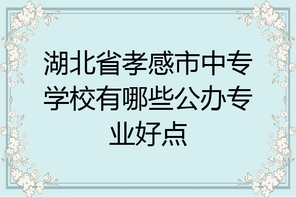 湖北省孝感市中专学校有哪些公办专业好点