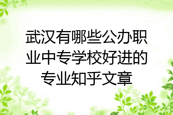 武汉有哪些公办职业中专学校好进的专业知乎文章