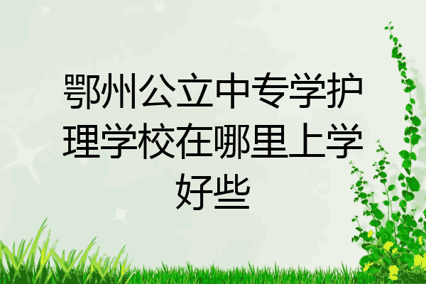 鄂州公立中专学护理学校在哪里上学好些