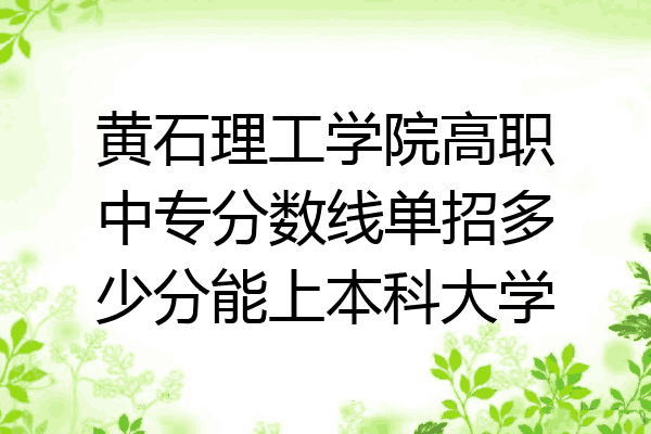 黄石理工学院高职中专分数线单招多少分能上本科大学