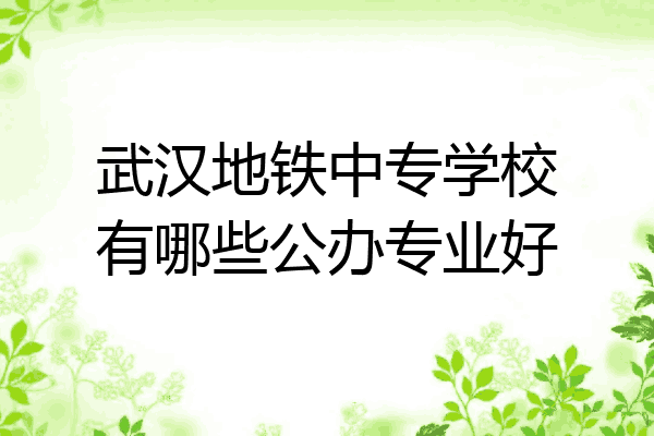 武汉地铁中专学校有哪些公办专业好