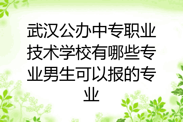 武汉公办中专职业技术学校有哪些专业男生可以报的专业