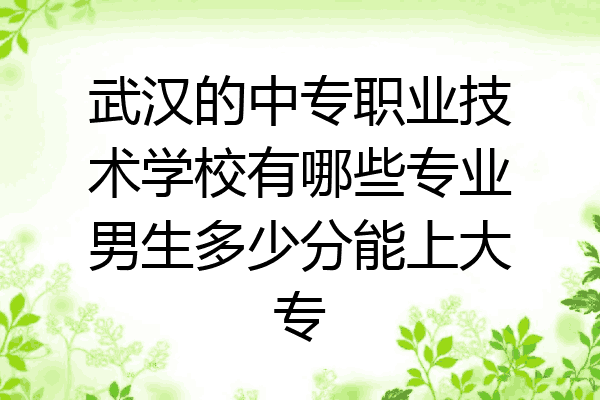 武汉的中专职业技术学校有哪些专业男生多少分能上大专