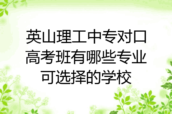 英山理工中专对口高考班有哪些专业可选择的学校