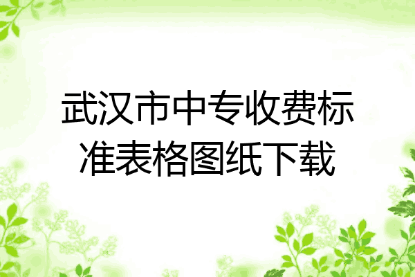 武汉市中专收费标准表格图纸下载