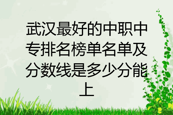 武汉最好的中职中专排名榜单名单及分数线是多少分能上