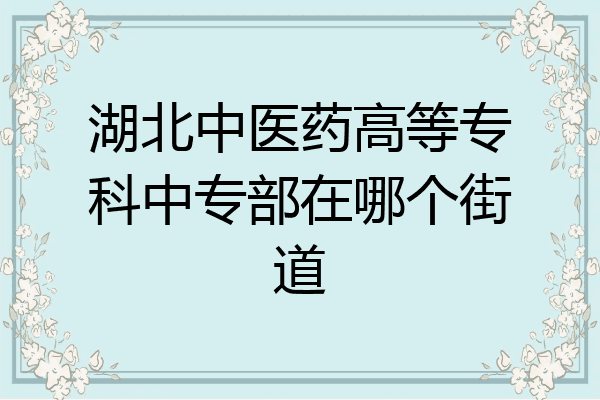 湖北中医药高等专科中专部在哪个街道