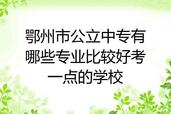鄂州市公立中专有哪些专业比较好考一点的学校