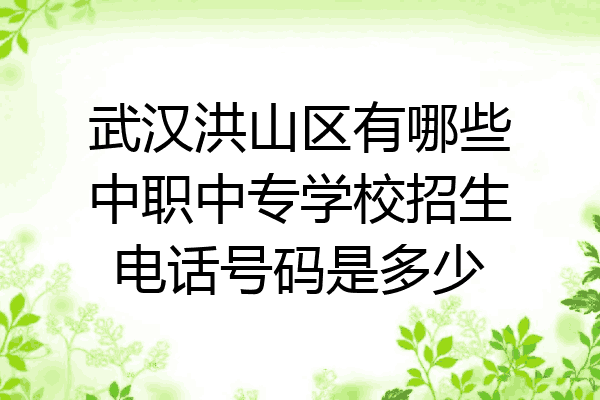 武汉洪山区有哪些中职中专学校招生电话号码是多少