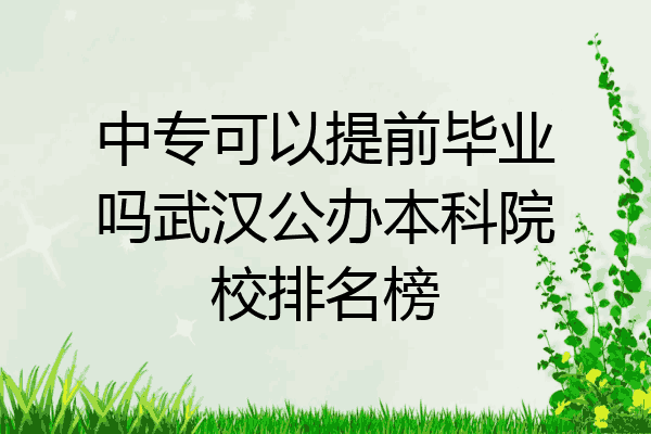中专可以提前毕业吗武汉公办本科院校排名榜