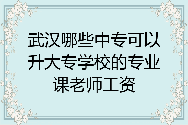 武汉哪些中专可以升大专学校的专业课老师工资