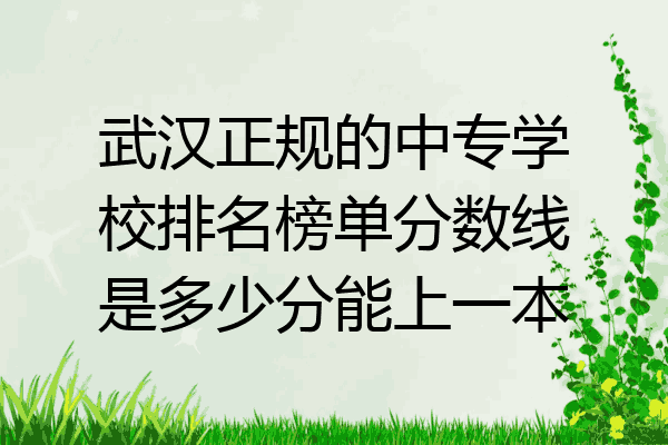 武汉正规的中专学校排名榜单分数线是多少分能上一本