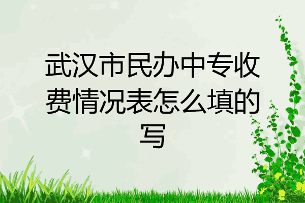 武汉市民办中专收费情况表怎么填的写
