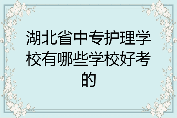 湖北省中专护理学校有哪些学校好考的