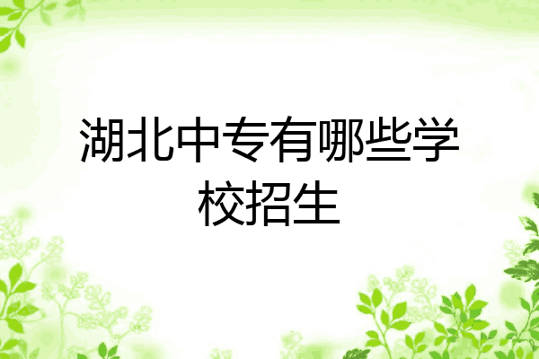 湖北中专有哪些学校招生