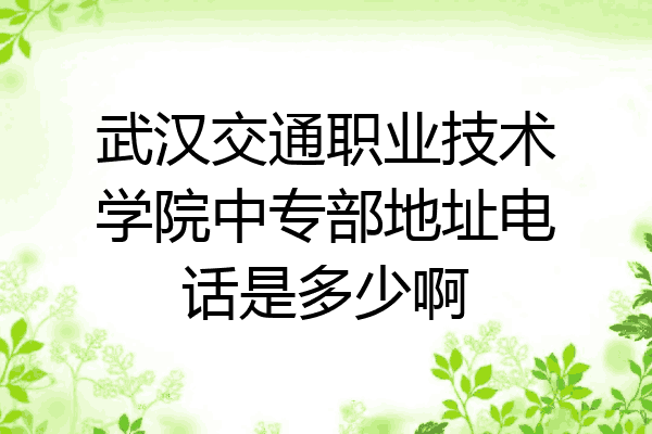 武汉交通职业技术学院中专部地址电话是多少啊