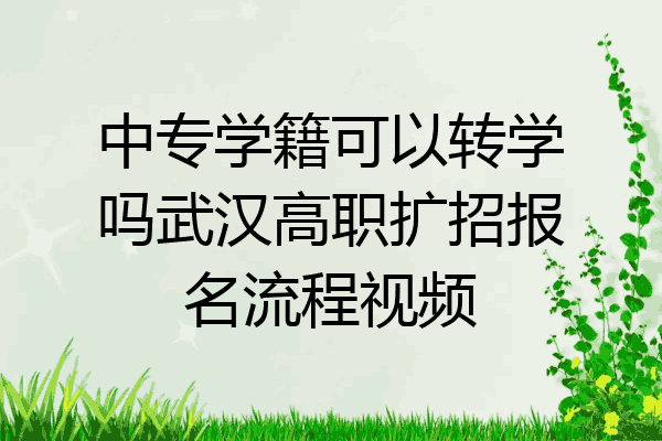 中专学籍可以转学吗武汉高职扩招报名流程视频