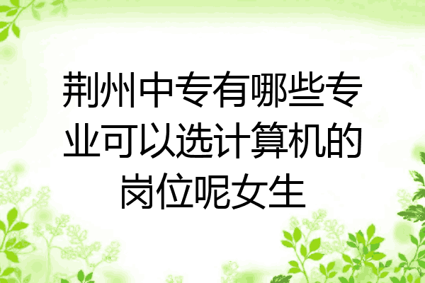 荆州中专有哪些专业可以选计算机的岗位呢女生