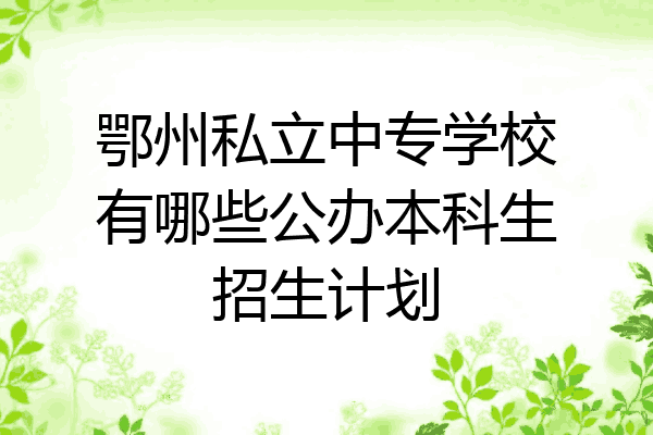鄂州私立中专学校有哪些公办本科生招生计划