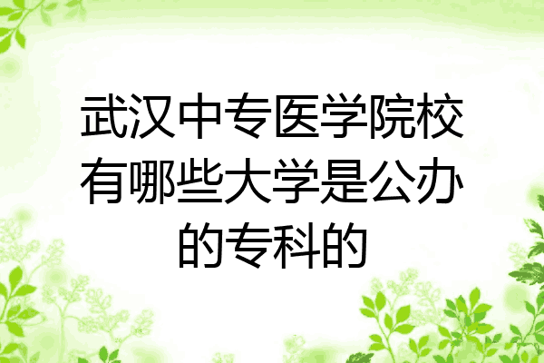 武汉中专医学院校有哪些大学是公办的专科的