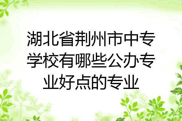 湖北省荆州市中专学校有哪些公办专业好点的专业
