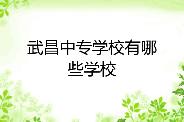 武昌中专学校有哪些学校
