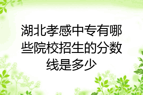 湖北孝感中专有哪些院校招生的分数线是多少