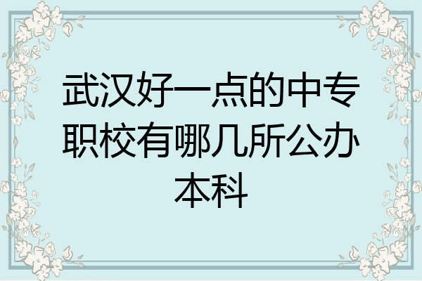 武汉好一点的中专职校有哪几所公办本科