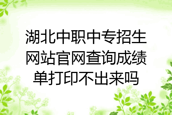 湖北中职中专招生网站官网查询成绩单打印不出来吗