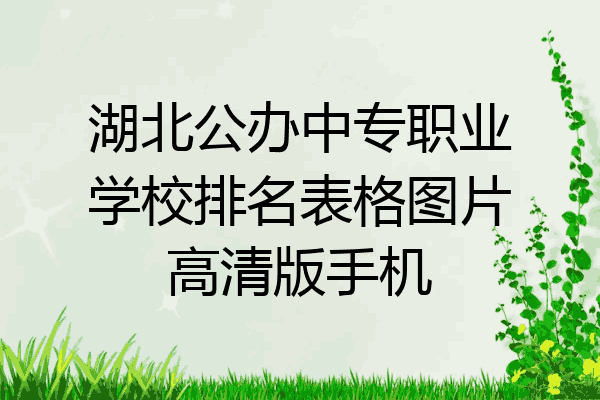 湖北公办中专职业学校排名表格图片高清版手机