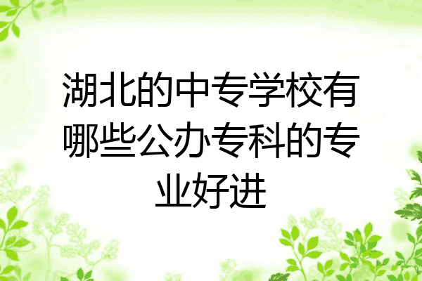 湖北的中专学校有哪些公办专科的专业好进