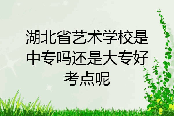湖北省艺术学校是中专吗还是大专好考点呢