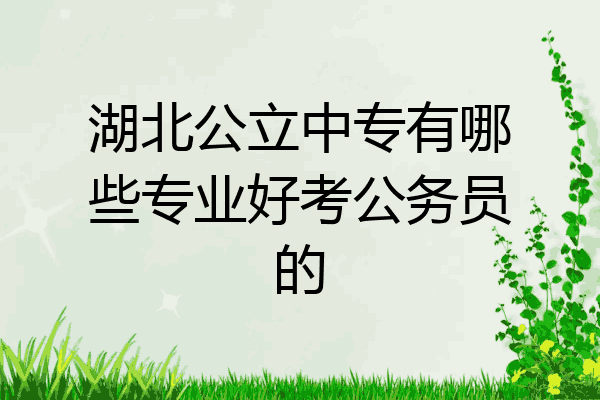湖北公立中专有哪些专业好考公务员的