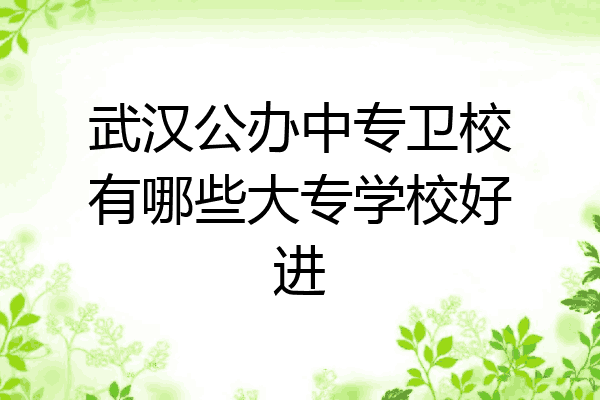 武汉公办中专卫校有哪些大专学校好进