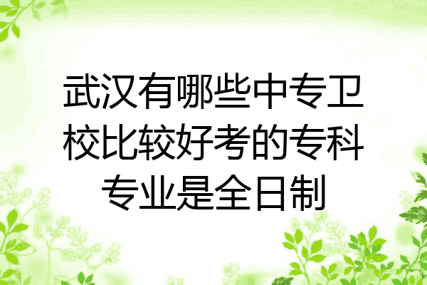 武汉有哪些中专卫校比较好考的专科专业是全日制