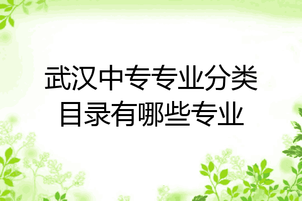 武汉中专专业分类目录有哪些专业