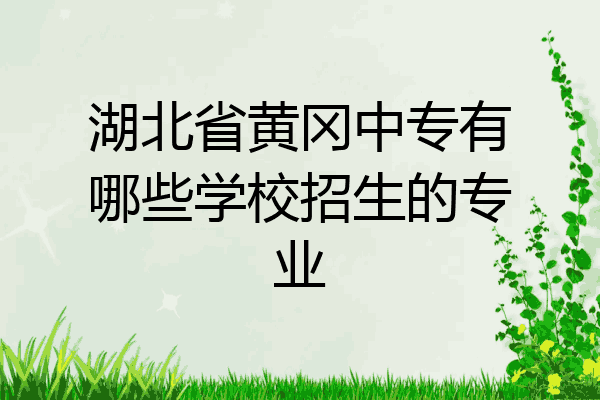 湖北省黄冈中专有哪些学校招生的专业