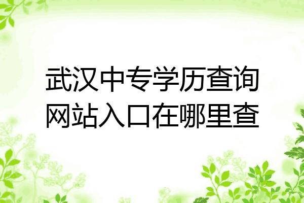 武汉中专学历查询网站入口在哪里查