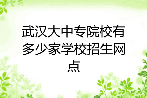 武汉大中专院校有多少家学校招生网点